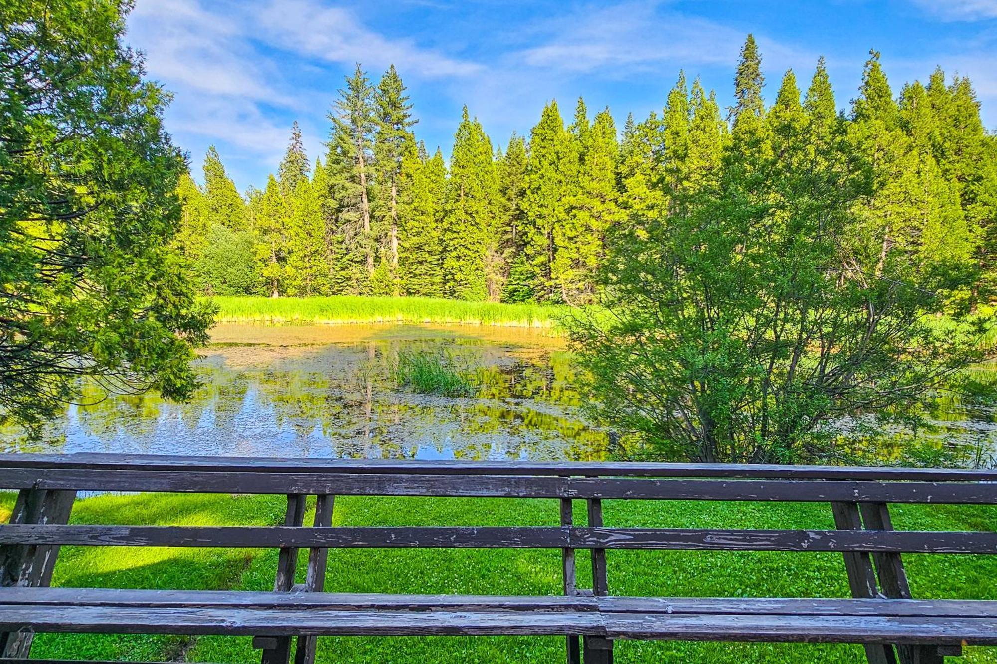 Water'S Edge Retreat Villa Shaver Lake Ngoại thất bức ảnh