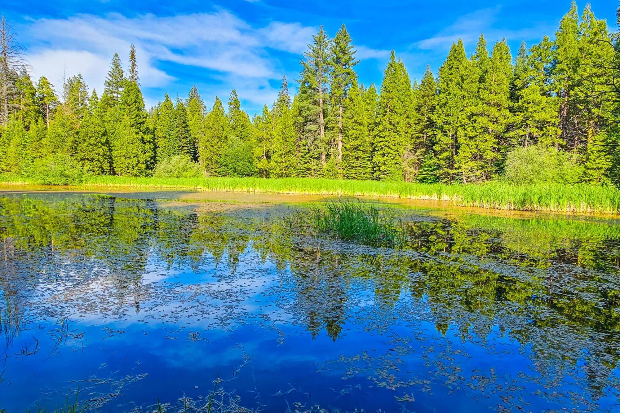 Water'S Edge Retreat Villa Shaver Lake Ngoại thất bức ảnh